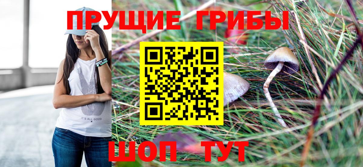 Зеленокумск  Галлюциногенные грибы MAGIC MUSHROOMS  Вход с VPN 