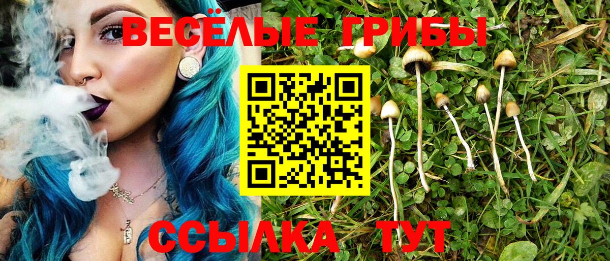 Галлюциногенные грибы мухоморы Зеленокумск